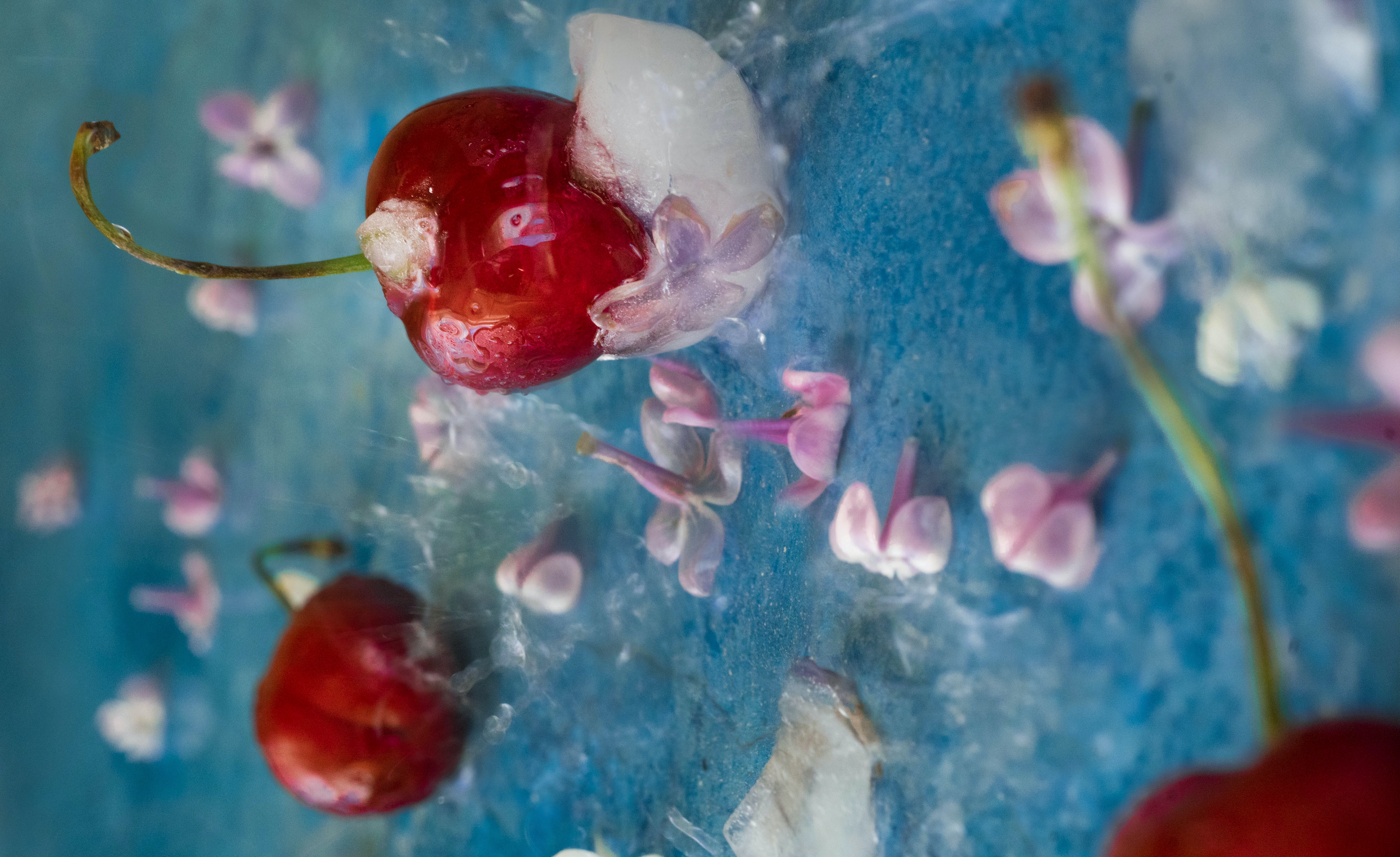 Boisson florale fruitée naturelle relaxante aphrodisiaque