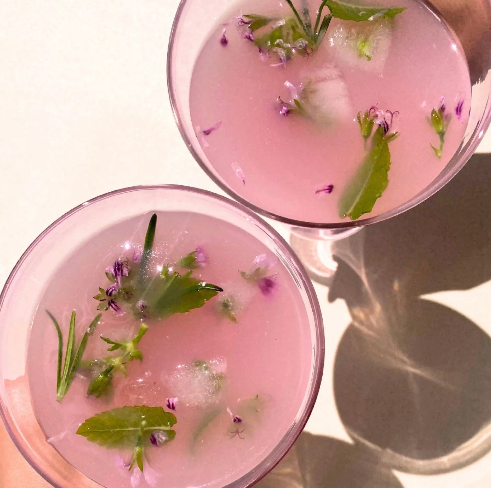 BEAUTY - COLLAGEN Booster FRAMBOISE & SUREAU JANE