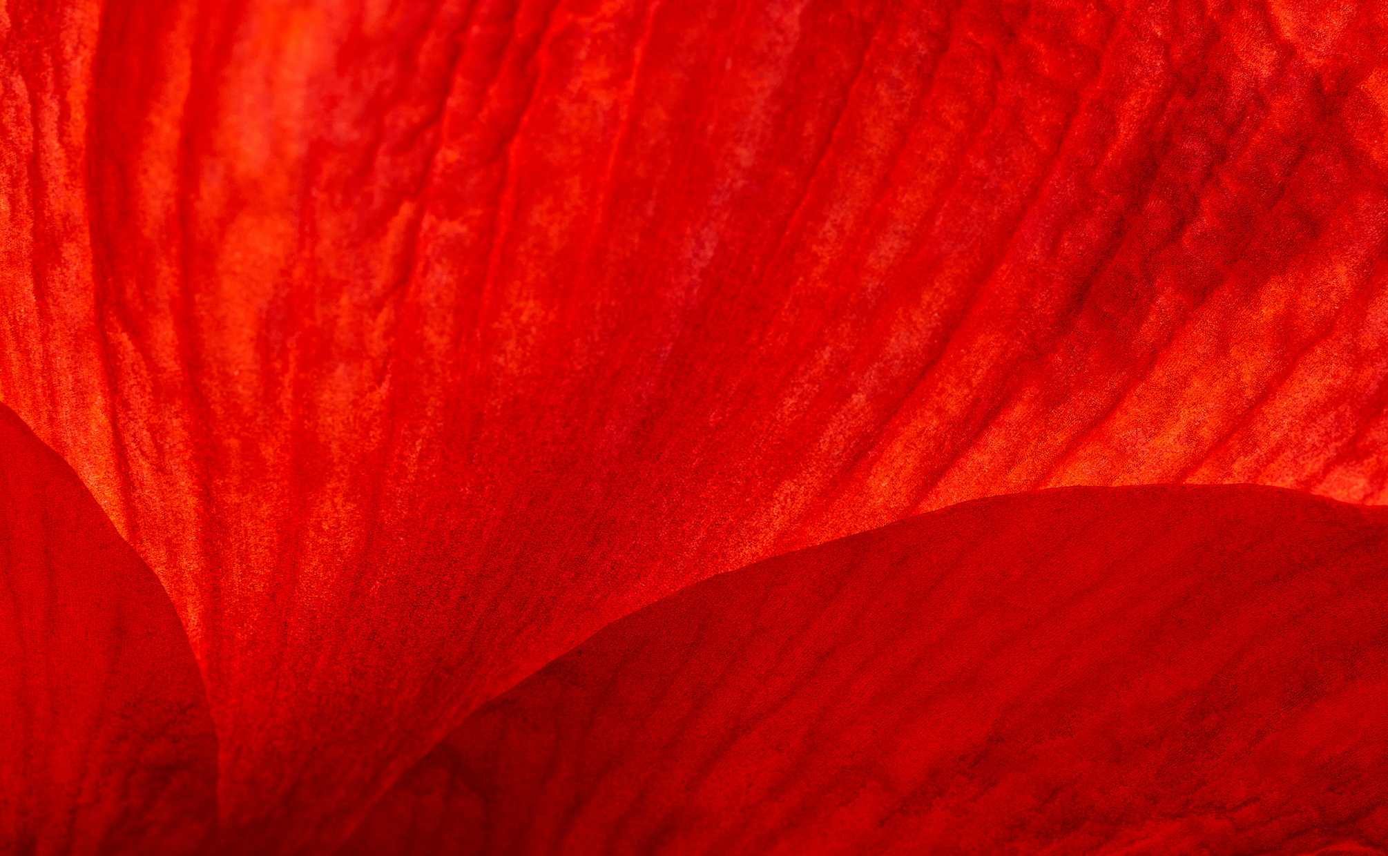 boisson aphrodisiaque vanille piment passion 