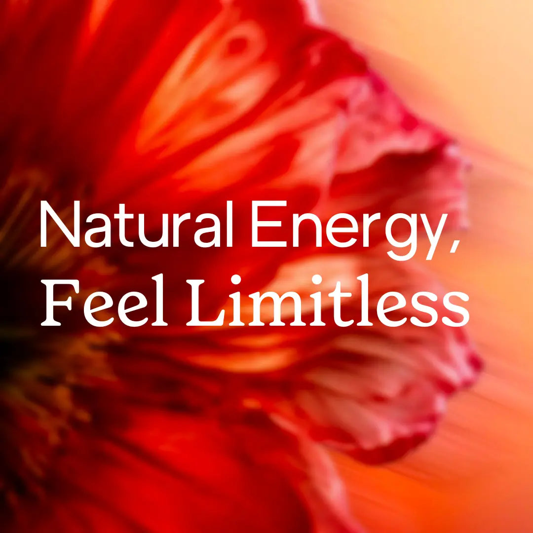 ENERGY - CACTUS CITRON VERT JANE